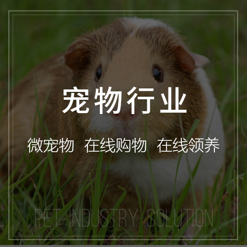 物联网APP在港口安防中的实时预警系统